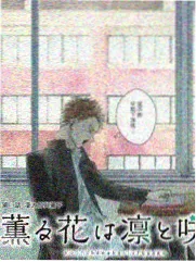天堂视频免费语言竞技综艺喜剧不加班
